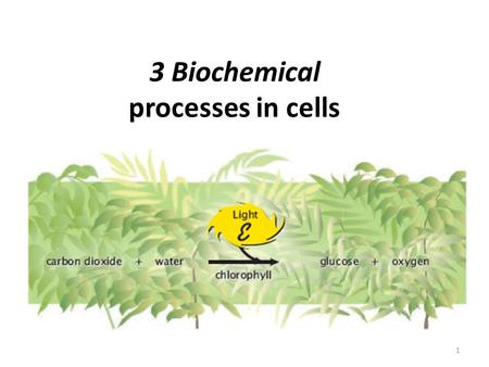 3 Biochemical processes in cells 1. Organic ___________ provide a source of energy for living organisms. Chemical ____________ may release energy or require.