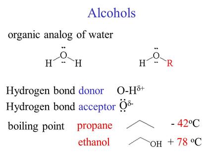 Alcohols .. organic analog of water Hydrogen bond donor O-Hd+ Od-