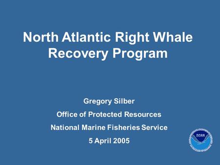 North Atlantic Right Whale Recovery Program Gregory Silber Office of Protected Resources National Marine Fisheries Service 5 April 2005.