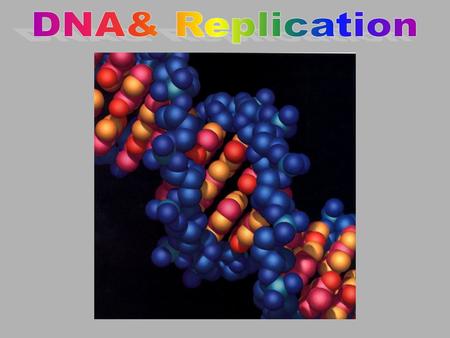 DNA& Replication.