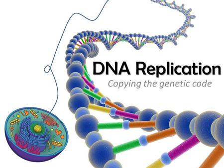 DNA Replication Copying the genetic code. DNA Replication  Unpack the Chromosomes  Unzip the DNA  Base pairing at the replication fork  Leading strand.