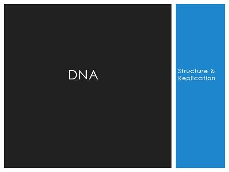 Structure & Replication