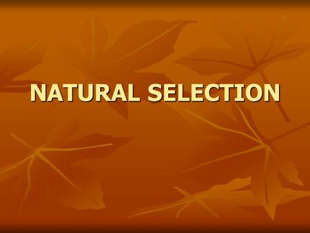 NATURAL SELECTION. What is the source of variation? How are subtle differences passed from generation to generation? These questions that puzzled Darwin.