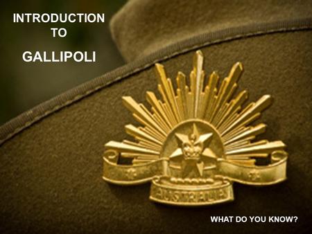 INTRODUCTION TO GALLIPOLI WHAT DO YOU KNOW?. WRITE THE ANSWERS TO THE QUESTIONS in the parts of the poppy you have drawn. YOU ARE TO WORK IN GROUPS OF.