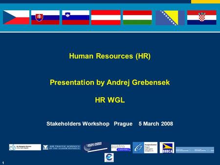 1 Human Resources (HR) Presentation by Andrej Grebensek HR WGL Stakeholders Workshop Prague 5 March 2008.