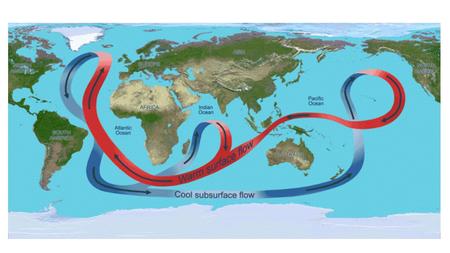 Wave Draw a picture of a wave Tides Draw a picture of Tides Currents Draw a Picture of Currents.