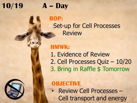 10/19A – Day BOP: Set-up for Cell Processes Review HMWK: 1.Evidence of Review 2.Cell Processes Quiz – 10/20 3.Bring in Raffle $ Tomorrow OBJECTIVE Review.