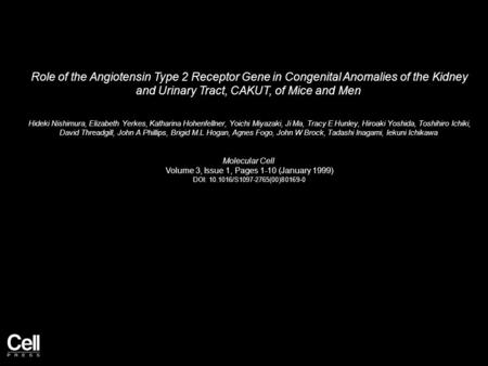 Role of the Angiotensin Type 2 Receptor Gene in Congenital Anomalies of the Kidney and Urinary Tract, CAKUT, of Mice and Men Hideki Nishimura, Elizabeth.