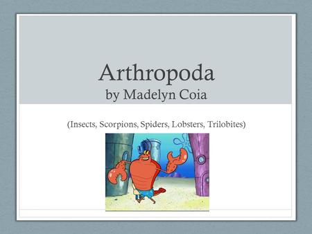 Arthropoda by Madelyn Coia (Insects, Scorpions, Spiders, Lobsters, Trilobites)