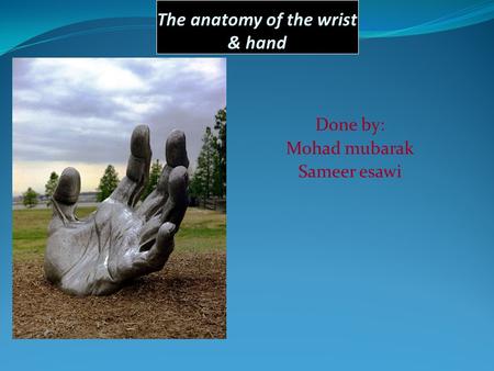 The anatomy of the wrist & hand Done by: Mohad mubarak Sameer esawi.