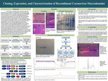 Figure 5: Expression and solubility tests for constructs of CoVs. Coronaviruses are complex, positive-sense RNA viruses that cause mild to severe respiratory.