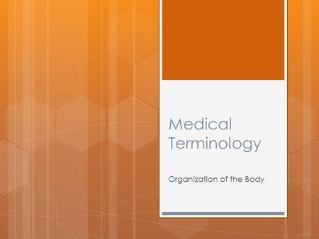 Medical Terminology Organization of the Body. Organization of the Body Objectives:  To name the body systems and their functions  To identify body cavities.