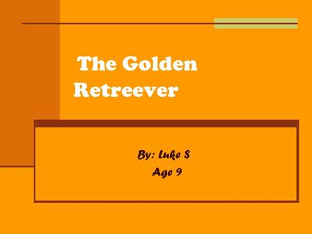 T he Golden Retreever By: Luke S Age 9. Problem My problem is that I can’t reach the things that fall between the tight spots.