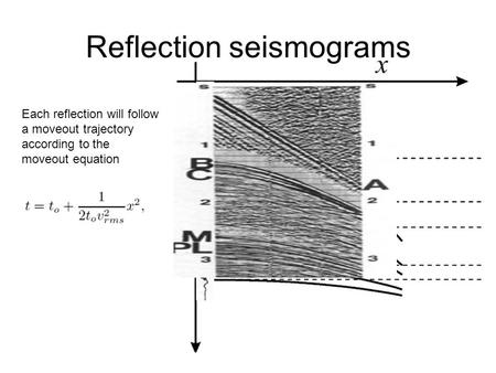 Reflection seismograms