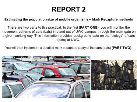 REPORT 2 Estimating the population size of mobile organisms – Mark Recapture methods There are two parts to this practical. In the first (PART ONE), you.