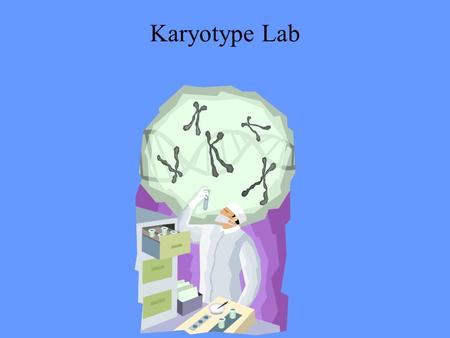 Karyotype Lab Page 106. Congratulations! You got a job as a lab Tech 1. Cut out all chromosomes from page 109 2. Arrange chromosomes in Homologous pairs.