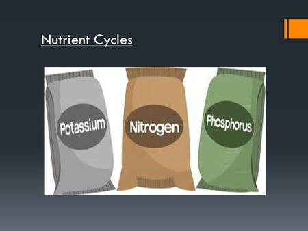 Nutrient Cycles. In this lesson you will be learning about the nutrient cycles that recycle N, P and K. By the end of the lesson you should: Know some.