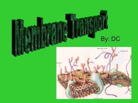 By: DC. A cell membrane A fluid mosaic of proteins, carbohydrates and lipids. What is a selectively permeable membrane? –.