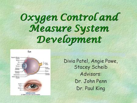 Oxygen Control and Measure System Development Divia Patel, Angie Powe, Stacey Scheib Advisors: Dr. John Penn Dr. Paul King.