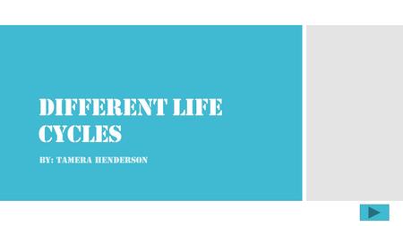 Different Life Cycles By: Tamera Henderson.  Content Area: Science  Grade Level: 1st  Summary: The purpose of this instructional PowerPoint is to have.