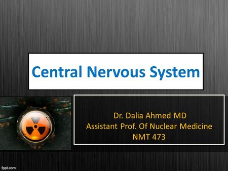 Central Nervous System