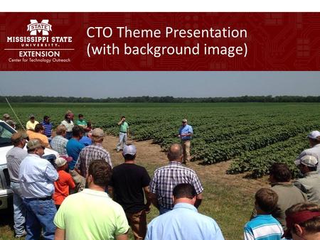 CTO Theme Presentation (with background image). CTO Theme Presentation (no background image)