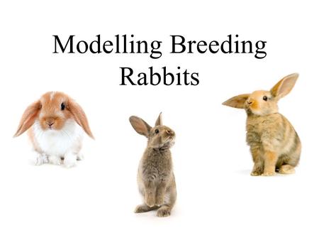 Modelling Breeding Rabbits. “Breeding like Rabbits!” Suppose we have the following model for the breeding of rabbits: We start off with two rabbits in.