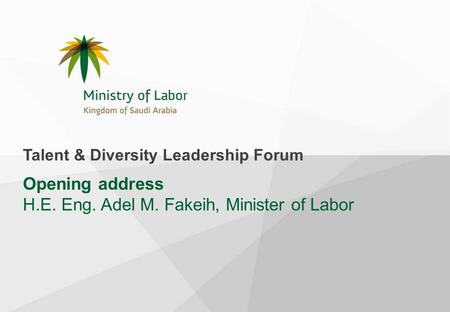 Opening address H.E. Eng. Adel M. Fakeih, Minister of Labor Talent & Diversity Leadership Forum.