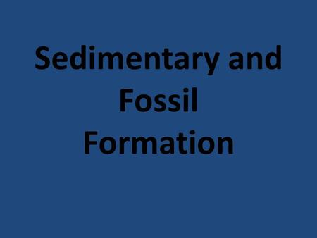 Sedimentary and Fossil Formation. Sedimentary Formation Consists of small pieces of: -Wood -Rock -Sand -Soil.