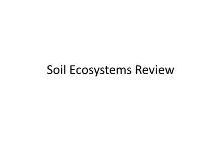 Soil Ecosystems Review