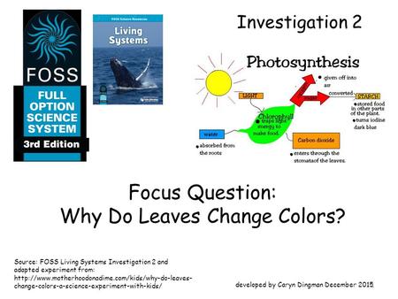 Investigation 2 Focus Question: Why Do Leaves Change Colors? developed by Caryn Dingman December 2015 1 Source: FOSS Living Systems Investigation 2 and.