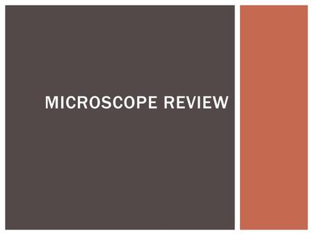 MICROSCOPE REVIEW.  Magnification (Def.) – how much the image has been zoomed in on, how much bigger the image is  Eyepiece x Lens Power = Total Magnification.