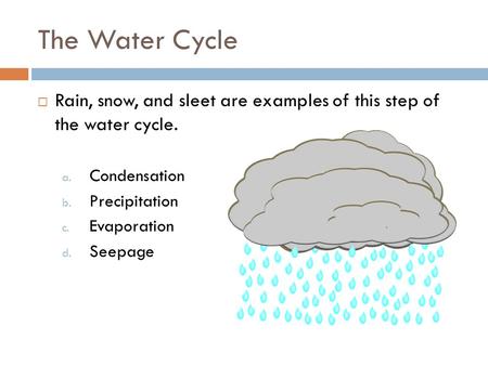 The Water Cycle  Rain, snow, and sleet are examples of this step of the water cycle. a. Condensation b. Precipitation c. Evaporation d. Seepage.