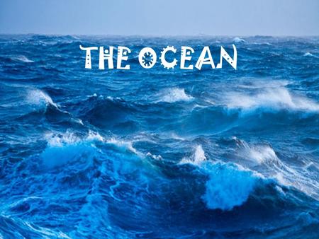 OCEANS THE OCEAN. Oceans cover nearly 71% of the Earth’s surface!