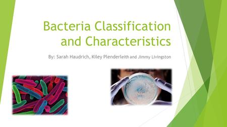 Bacteria Classification and Characteristics By: Sarah Haudrich, Kiley Plenderl eith and Jimmy Livingston.