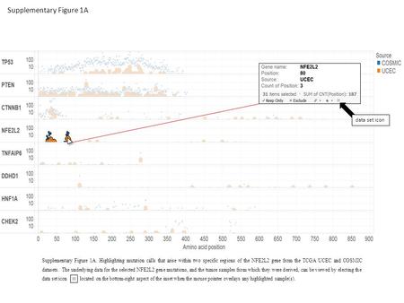 Supplementary Figure 1A Supplementary Figure 1A. Highlighting mutation calls that arise within two specific regions of the NFE2L2 gene from the TCGA UCEC.