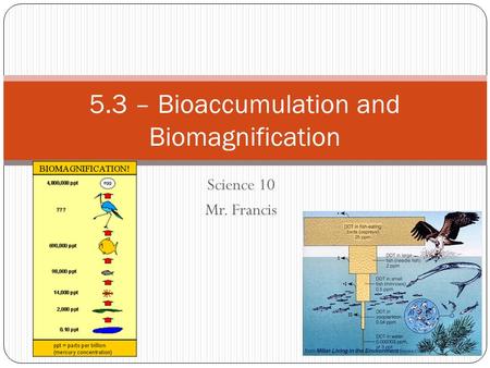 Science 10 Mr. Francis 5.3 – Bioaccumulation and Biomagnification.