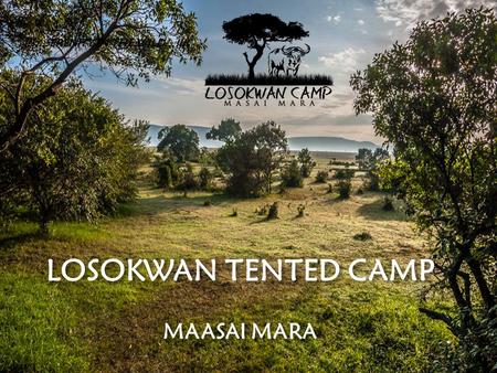 LOSOKWAN TENTED CAMP !!!...SERENITY IN THE WILD…!!!! MAASAI MARA.