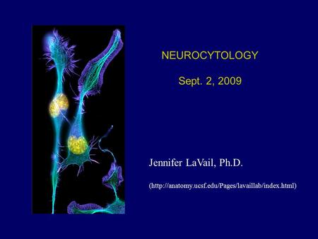 NEUROCYTOLOGY Sept. 2, 2009 Jennifer LaVail, Ph.D. (http://anatomy.ucsf.edu/Pages/lavaillab/index.html)