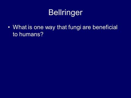 Bellringer What is one way that fungi are beneficial to humans?