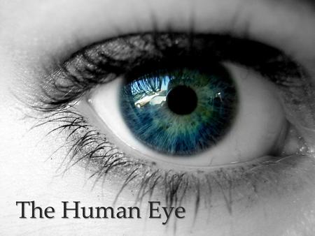 { The Human Eye. Parts of the Eye Iris Pupil Cornea Lens Optic nerve Retina.