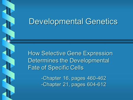 Developmental Genetics How Selective Gene Expression Determines the Developmental Fate of Specific Cells -Chapter 16, pages 460-462 -Chapter 21, pages.