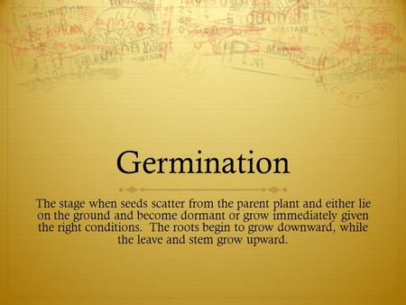 Germination The stage when seeds scatter from the parent plant and either lie on the ground and become dormant or grow immediately given the right conditions.