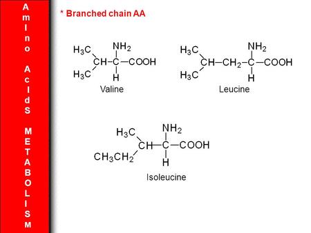 m I n o c d S M E T B O L * Branched chain AA Valine Leucine