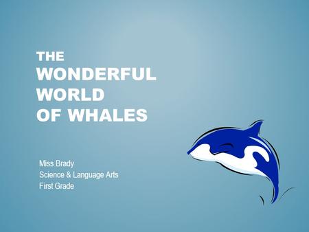 THE WONDERFUL WORLD OF WHALES Miss Brady Science & Language Arts First Grade.