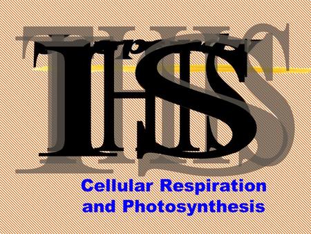 Jeopardy Cellular Respiration and Photosynthesis.