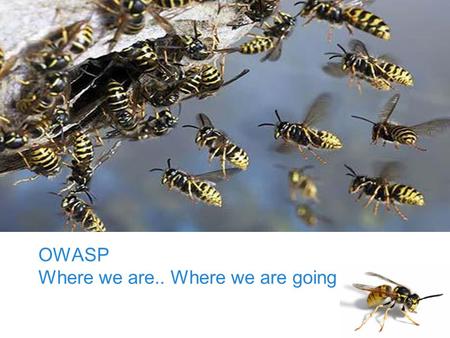 OWASP Foundation OWASP Where we are.. Where we are going.