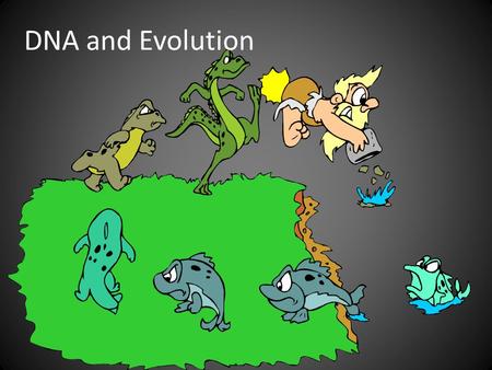 DNA and Evolution. What are some Lines of Evidence for Evolution?? Fossils/Radiometric Dating Structural Similarities Geographical Distribution Embryological/Developmental.