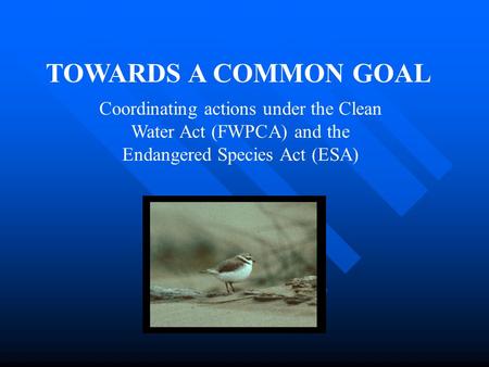 TOWARDS A COMMON GOAL Coordinating actions under the Clean Water Act (FWPCA) and the Endangered Species Act (ESA)