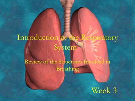 Introduction to the Respiratory System Review of the Structures Involved in Breathing Week 3.